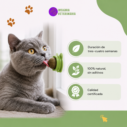 Bola de Catnip Adhesiva para Gatos | Juguete de Hierba Gatera Giratoria