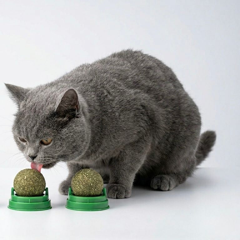 Bola de Catnip Adhesiva para Gatos | Juguete de Hierba Gatera Giratoria